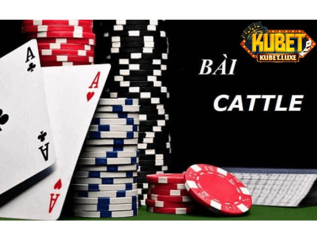 bai catte