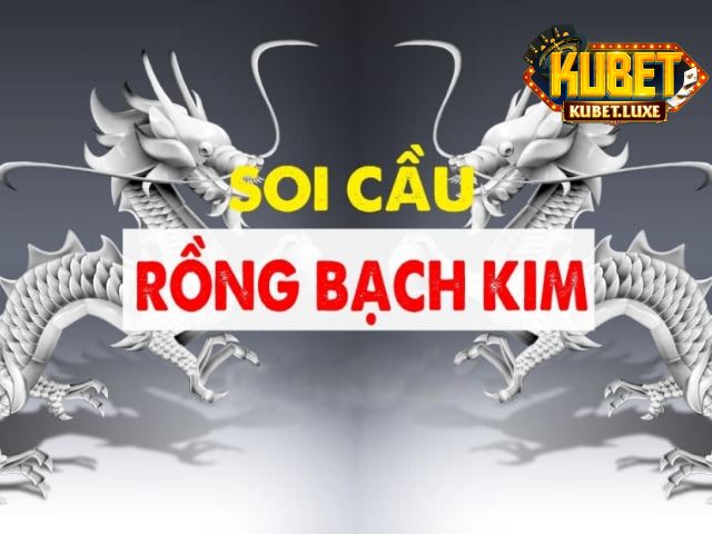 cach soi cau rong bach kim