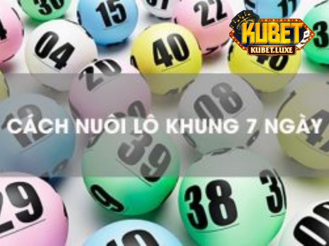  Lô khung 7 ngày