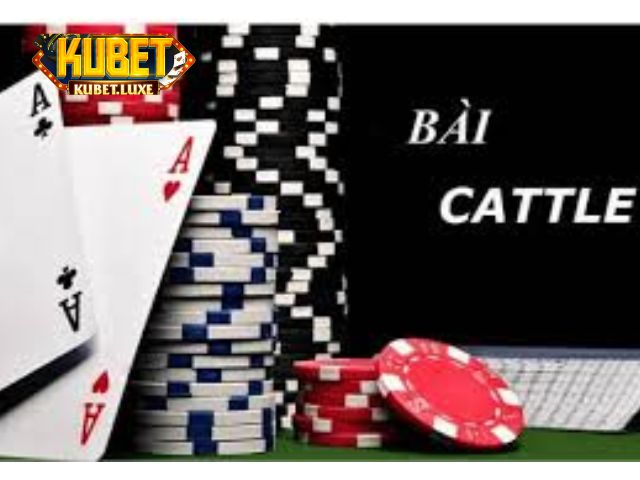 bi quyet choi bai catte