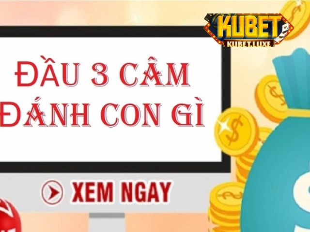 bi quyet chon dau ba cam