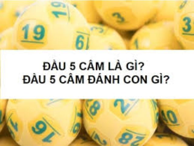 dau 5 cam danh con gi