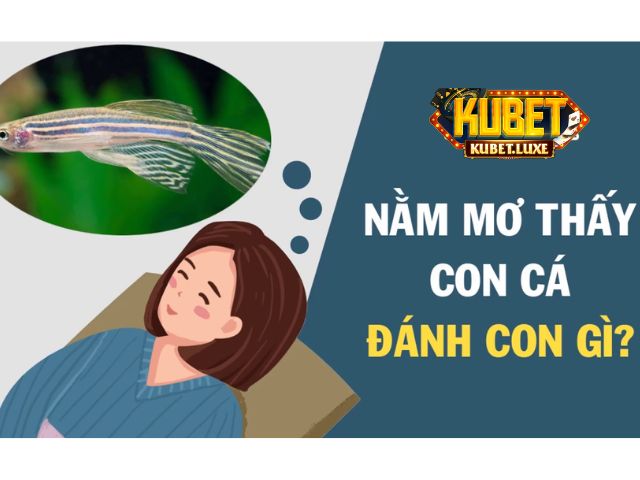 Giải mã giấc mơ thấy cá chép