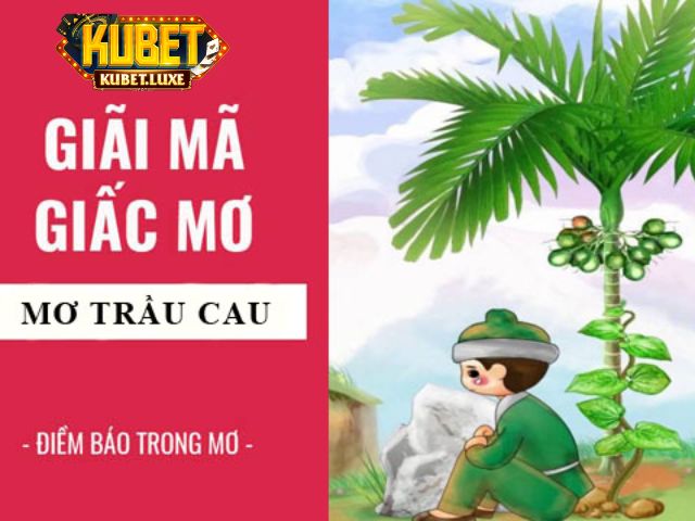 Mơ thấy cây cau
